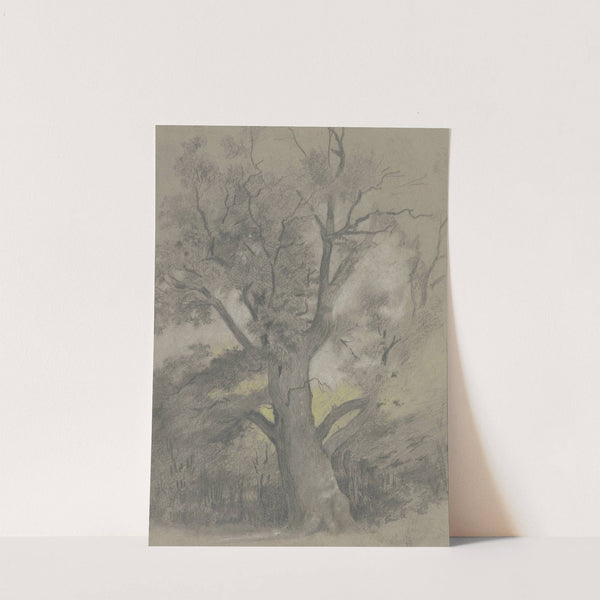 Alte Eiche in einer Waldlichtung by Hermann Gollner