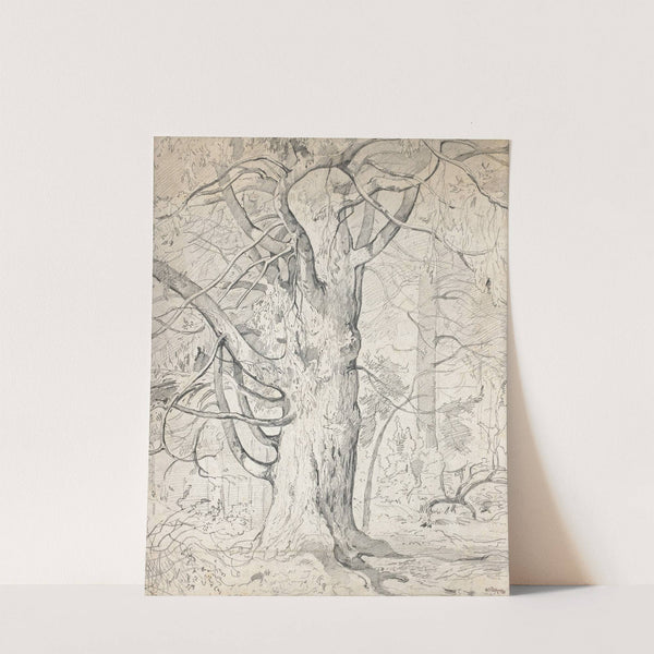 Alte Eiche by Josef Wopfner