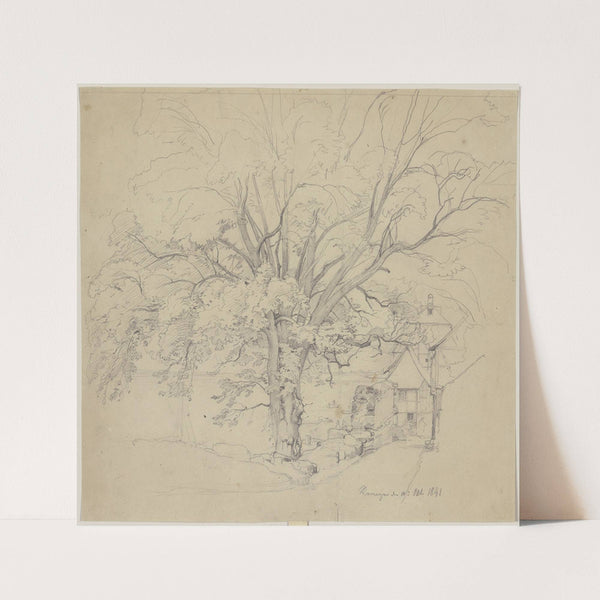 Alter Baum an einer Straße in Remagen (1841) by Jakob Becker