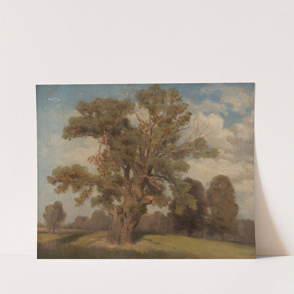 Alter Baum in der Krieau (1883) by Franz Brzezowsky