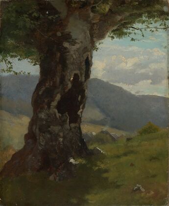 Alter Baumstamm mit Blick ins Tal