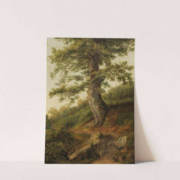 Alter Olivenbaum bei Camaldoli (1801) by Jakob Philipp Hackert