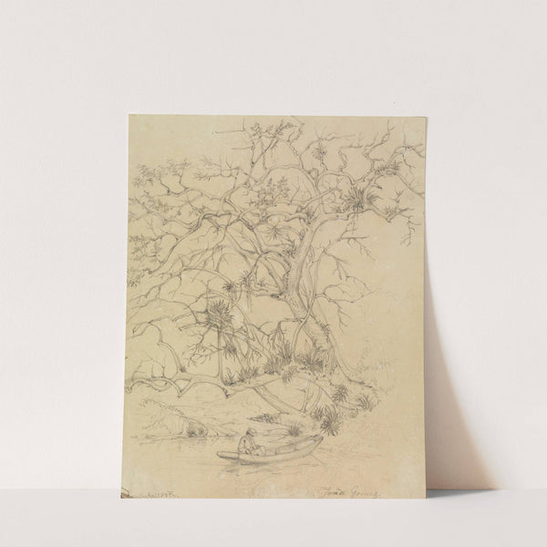 Am Ufer (1858) by Ferdinand Keller