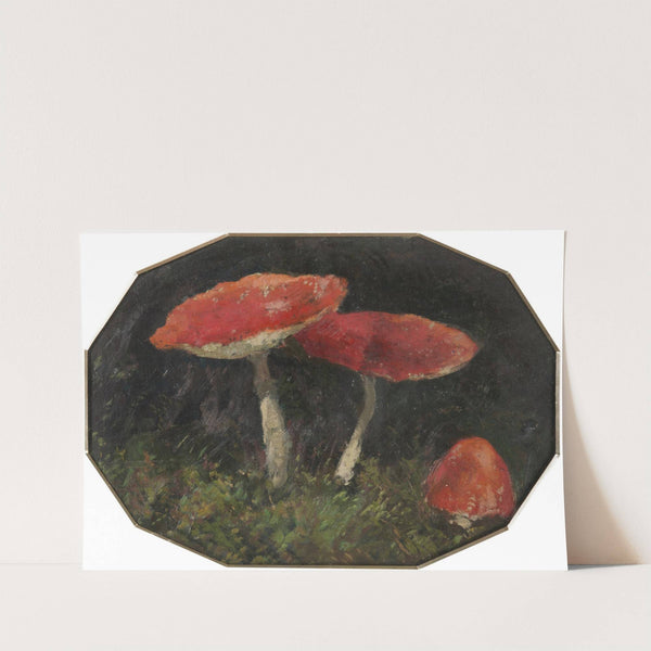 Amanitas by Gustav Macoun