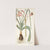 Amaryllis longifolia by Nikolaus Joseph Freiherr von Jacquin