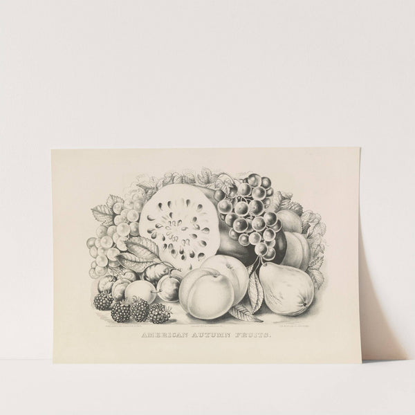 American autumn fruits (1875) by Currier & Ives.