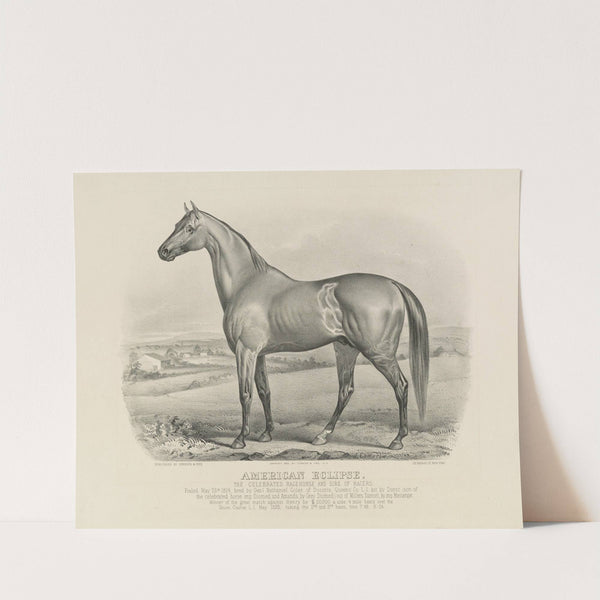 American eclipse; The celebrated racehorse and sire of racers (1880) by John Cameron