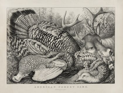 American forest game (1866)