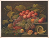 American fruit (1867)