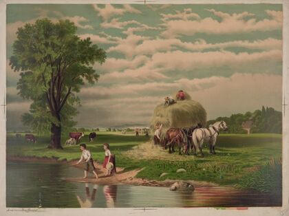 American hay harvest
