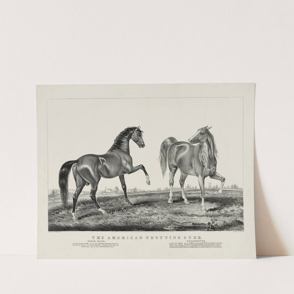 American trotting stud; Ethan Allen, Pocahontas (1866) by Currier & Ives.