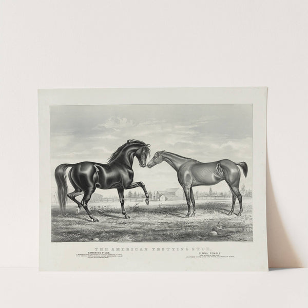 American trotting stud; Mambino Pilot, Flora Temple (1866) by Currier & Ives.