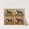 Americas renowned stallions (1876) by J. Mayer & Co.