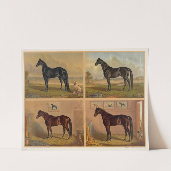 Americas renowned stallions (1876) by J. Mayer & Co.