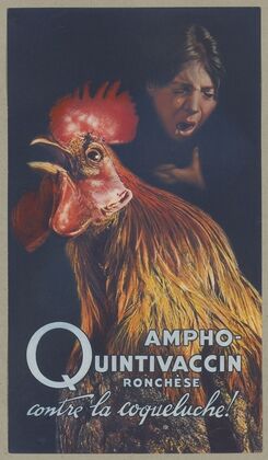Ampho-Quintivaccin Ronchèse (1910-1950)
