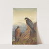 An Adult And Immature Peregrine (1889) by Archibald Thorburn