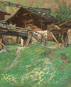An Alpine lodge