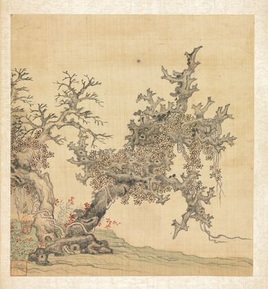 An Ancient Tree