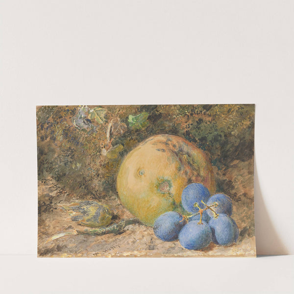 An Apple, Grapes and a Hazelnut on a Mossy Bank by William Henry Hunt