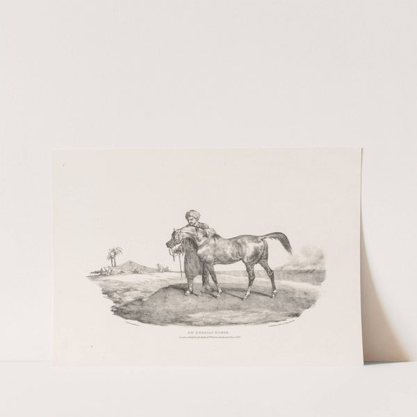 An Arabian Horse (1821) by Théodore Géricault