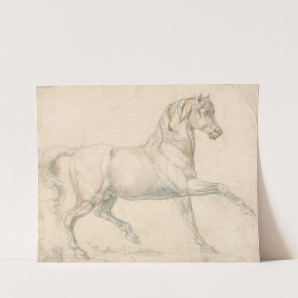 An Arabian Stallion Walking to Right by William Sawrey Gilpin