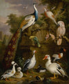 An assembly of birds in a parkland landscape
