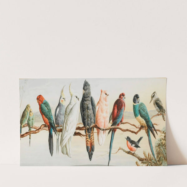 An Australian Eleven (c.1880) by Henry Bright