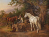 An der Tränke