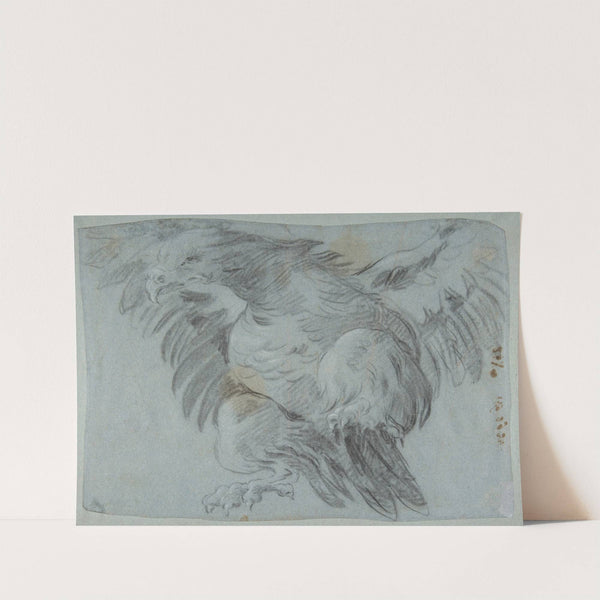 An Eagle with Wings Spread (1696–1770) by Giovanni Battista Tiepolo
