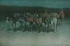 An early start for market (1905)