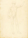 An Ecorche, front view (ca. 1849-1853)