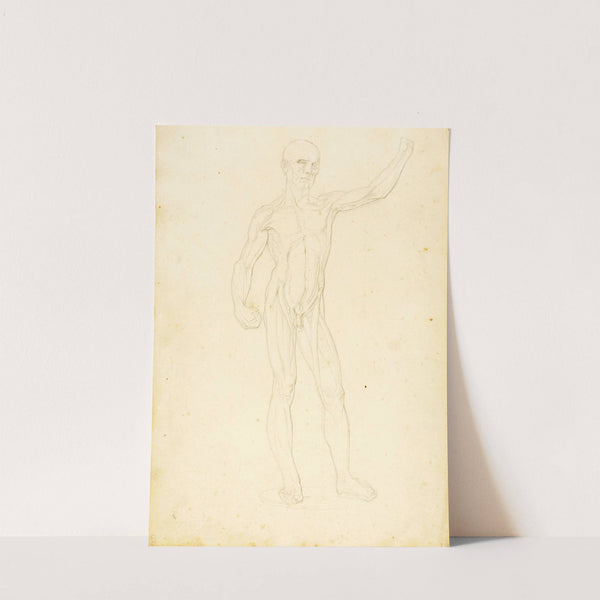 An Ecorche, front view (ca. 1849-1853) by William Page