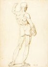 An Ecorche, Rear View (1853)