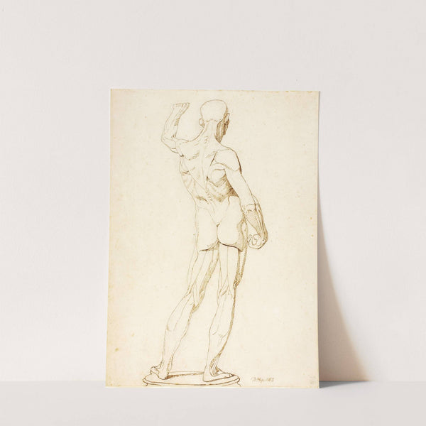 An Ecorche, Rear View (1853) by William Page