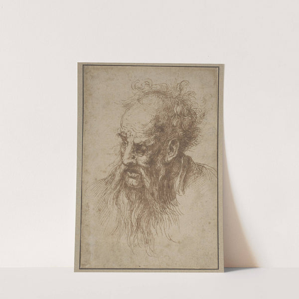 An Elderly Man with a Flowing Beard by Spanish School