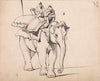 An Elephant