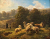 An Encounter on the Sheep Pasture