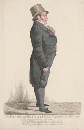An exotick at the Green House Leadenhall Street (1824) — size preview