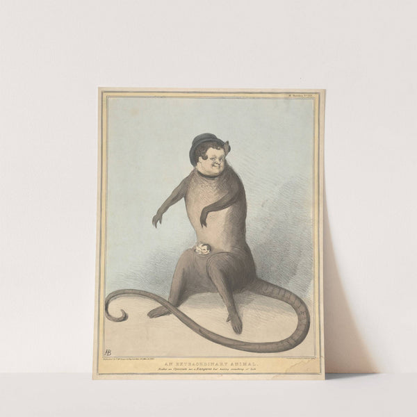 An Extraordinary Animal, Neither an Opossum nor a Kangaroo but Having Something of Both by John Doyle