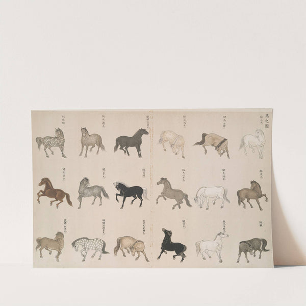 An illustration of horses by Shigeo Inobe (Editor)