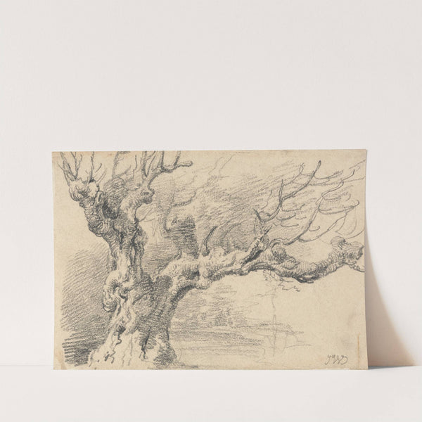 An Old Oak Tree by James Ward