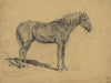 An old soldier