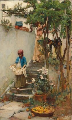 An Orange Garden