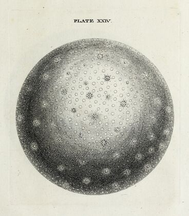 An original theory or new hypothesis of the universe, Plate XXIV — size preview