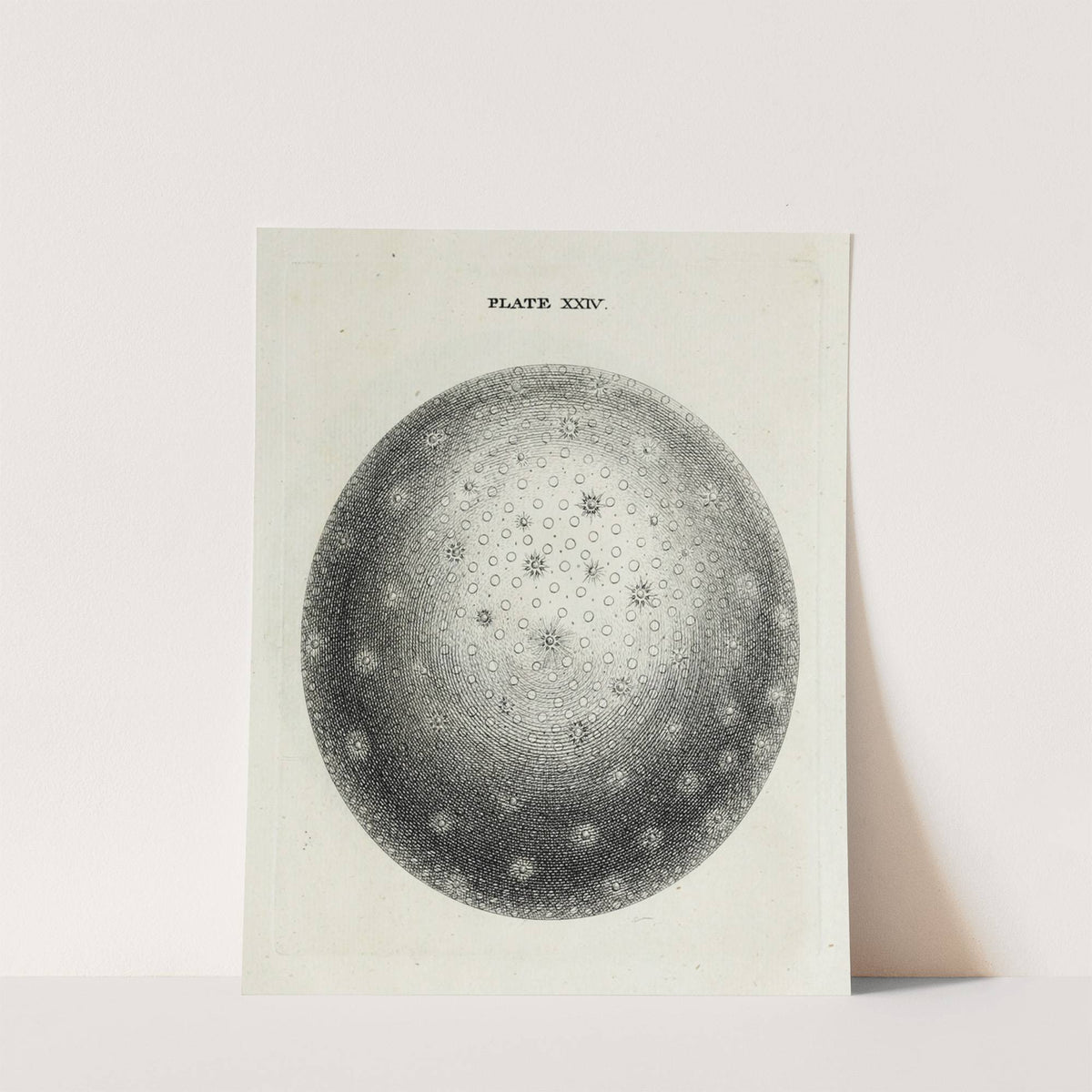 An original theory or new hypothesis of the universe, Plate XXIV (1750) by Thomas Wright