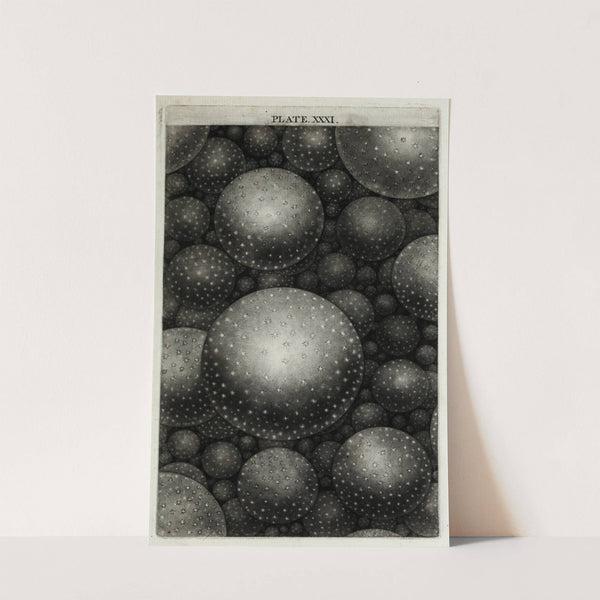 An original theory or new hypothesis of the universe, Plate XXXI (1750) by Thomas Wright