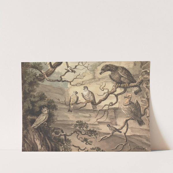 An Owl, an Eagle, Two Falcons, a Vulture and Other Birds Perched in Trees by Samuel Howitt