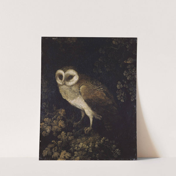 An Owl by Moses Haughton