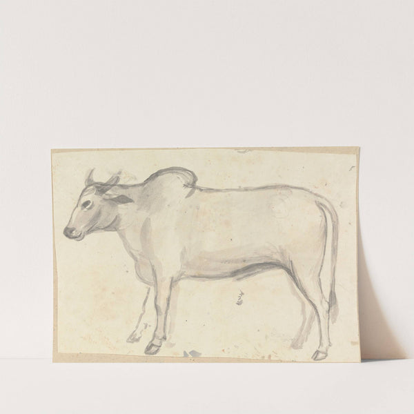 An Ox by Gangaram Chintaman Tambat