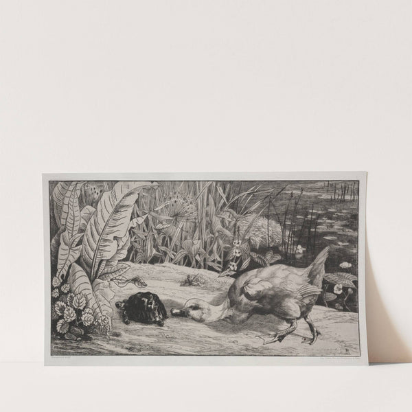 An Unknown (1862) by Félix Bracquemond